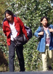 公开便所